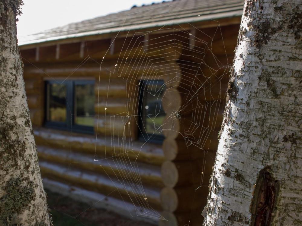 Reves De Bois Villa Loubeyrat Dış mekan fotoğraf