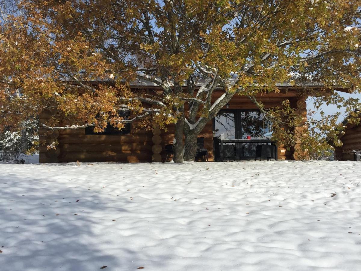 Reves De Bois Villa Loubeyrat Dış mekan fotoğraf
