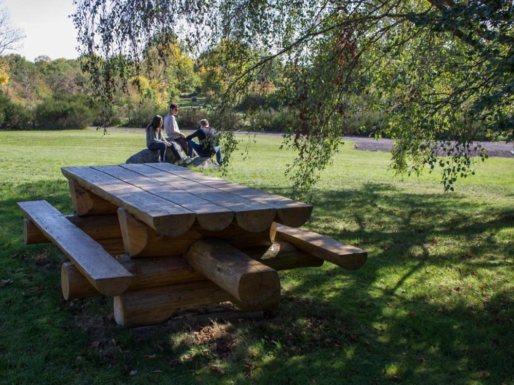 Reves De Bois Villa Loubeyrat Dış mekan fotoğraf